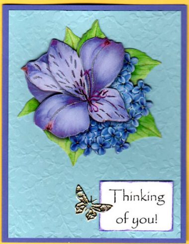lavender blue flowers