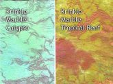 calypso and tropical reef