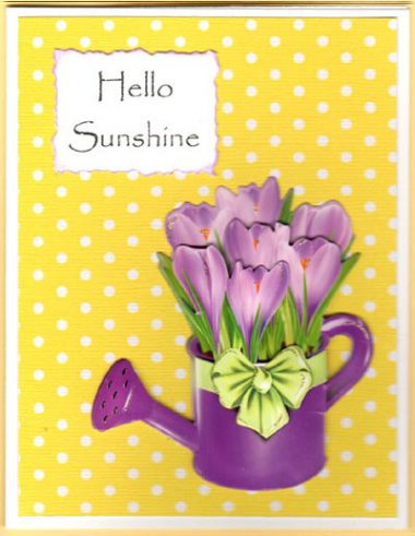 sunshine watering cans