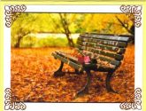 autumn bench