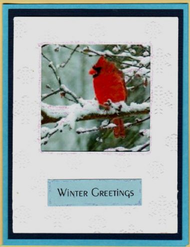 snowbirds acetate cards