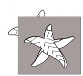 pattern for sea star