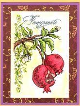 pomegranate botanical