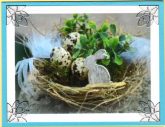 bunny nest