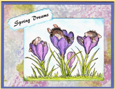 spring dreams