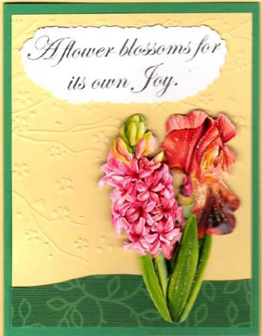 Flower Quote Spring Bulbs