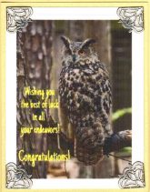 wishing owl