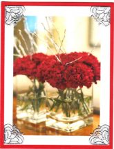 january birthday carnation
