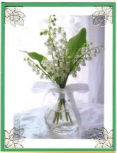 may birthday lily of the vally