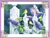 lilacs and warblers