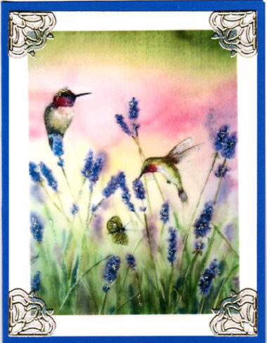 hummingbird lavender