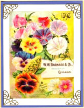 summer bounty flowerseed cards