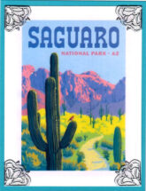 saguaro National Park