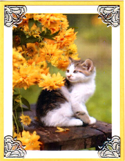 Garden Gold Garden Gold