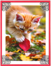 Leaf Toy