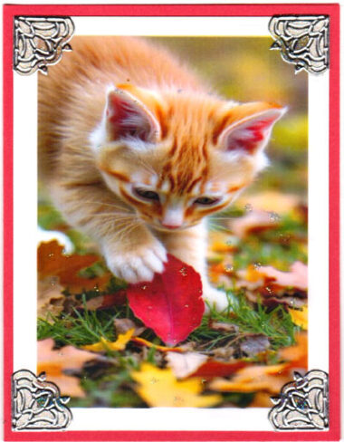 Leaf Toy