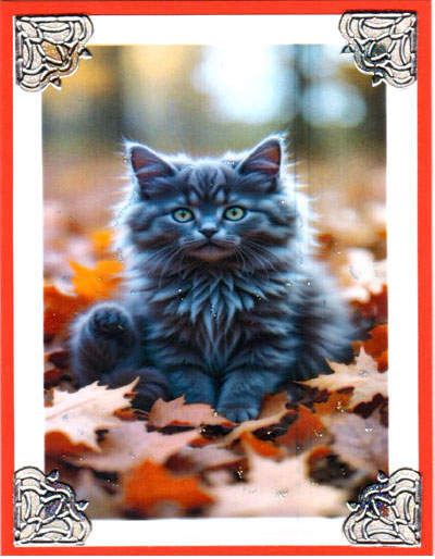 Autumn Fun Autumn Fun
