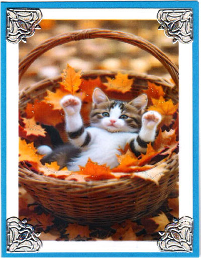 Leaf Snuggle Leaf Snuggle