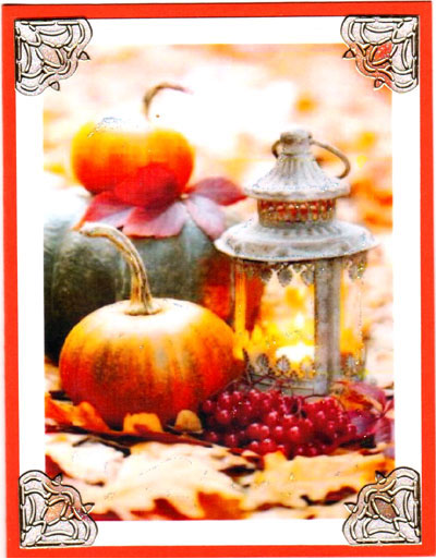 Cozy Pumpkins Cozy Pumpkins