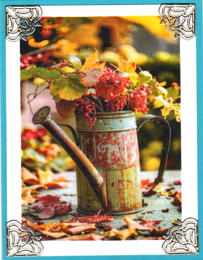 Fall Foliage Fall Foliage