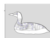 Loon