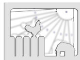 Rooster on a Fence