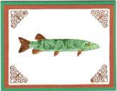 Muskie